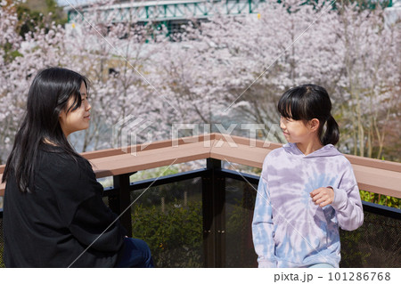 公園でお花見をしている子供姉妹の様子 公園でお花見をしている子供姉妹の様子 101286768