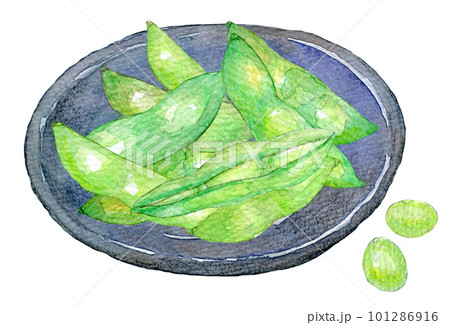 茹でたての枝豆 水彩イラスト 茹でたての枝豆 水彩イラスト 101286916