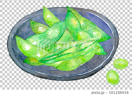 茹でたての枝豆 水彩イラスト 茹でたての枝豆 水彩イラスト 101286916
