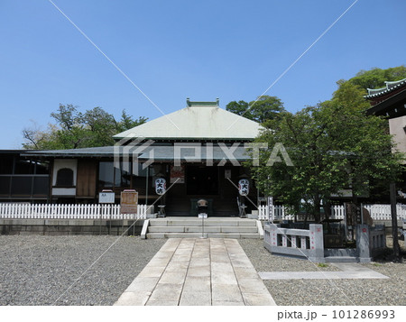 大田区池上の大坊本行寺にあるご臨終の間とお会式桜 101286993