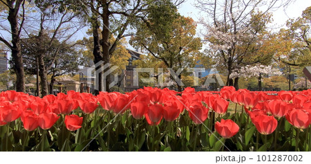 原爆ドーム 原爆ドーム 101287002