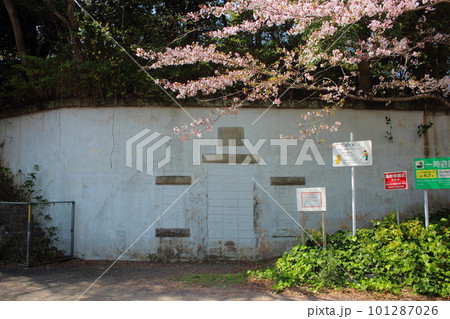 手向山 桜と手向山砲台 「田向山砲台」 要塞施設跡 手向山 桜と手向山砲台 「田向山砲台」 要塞施設跡 101287026