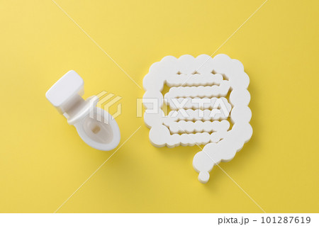 腸とトイレの模型 イメージ写真 腸とトイレの模型 イメージ写真 101287619