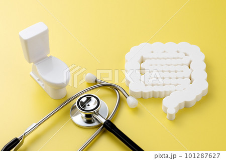 腸の模型　医療イメージ写真　 101287627