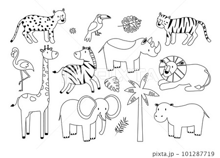 Vector linear drawing, set of cute children s illustrations African animals elephant, tiger, lion, rhinoceros, hippopotamus, flamingo bird and toucan, tropical leaves EPS 101287719