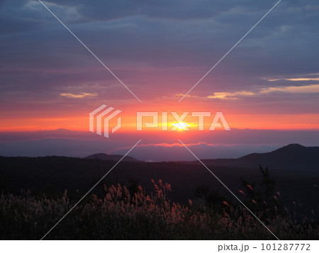 栗駒山から見るススキと朝陽 101287772