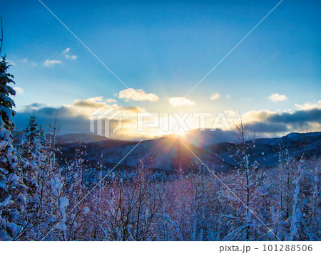 冬の風景 101288506