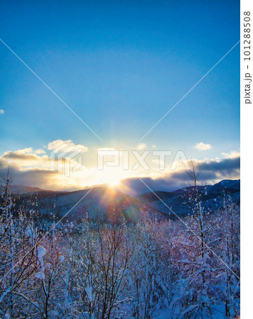 冬の風景 101288508