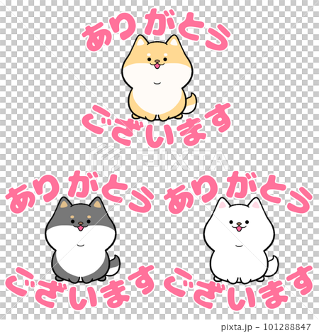 柴犬と「ありがとうございます」の文字3点セットのイラスト素材