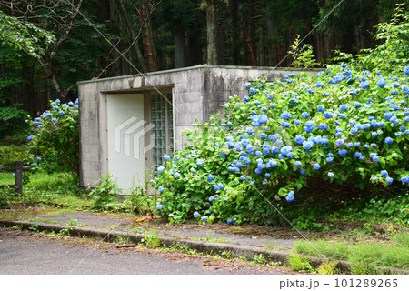 深山ダム付近の景観　＃26 101289265