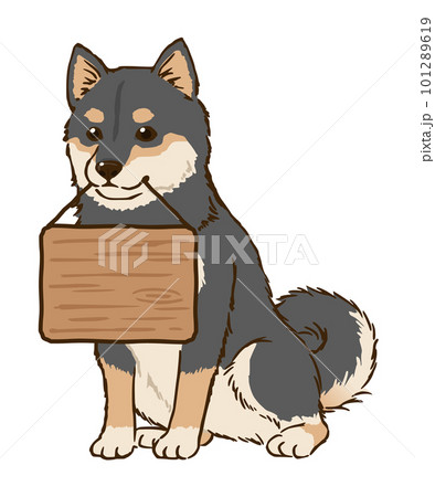 看板をくわえる柴犬（黒柴）のイラスト素材 [101289619] - PIXTA