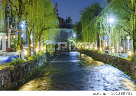 東山三条　京都らしい柳並木　古川町橋（白川一本橋） 101289735