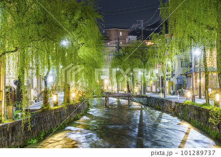 東山三条　京都らしい柳並木　古川町橋（白川一本橋） 101289737