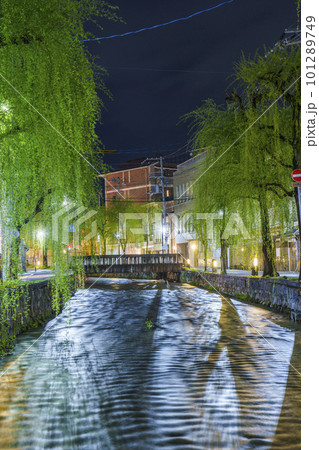 東山三条 京都らしい柳並木 古川町橋(白川一本橋) 東山三条 京都らしい柳並木 古川町橋(白川一本橋) 101289749