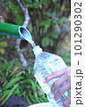 湧水を汲む 101290302