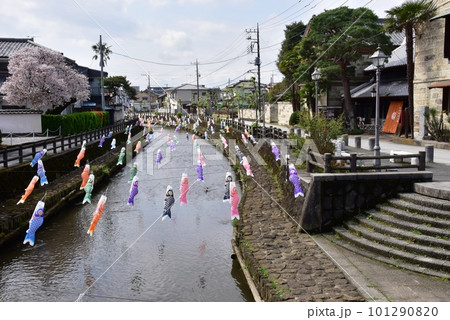 栃木市 蔵の街の横山郷土館と巴波川と鯉のぼり 栃木市 蔵の街の横山郷土館と巴波川と鯉のぼり 101290820