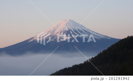 桜色の富士山と河口湖の雲海 桜色の富士山と河口湖の雲海 101291942