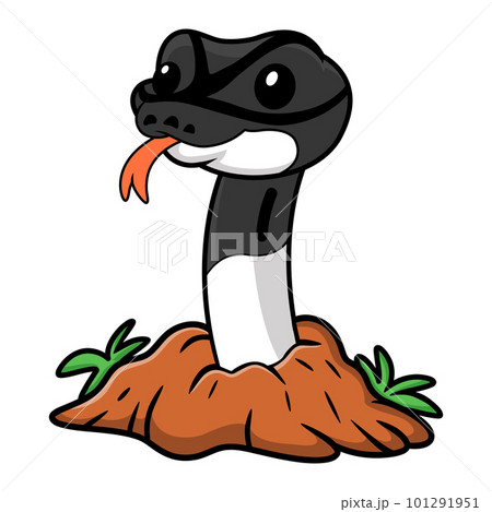 Cute panda pied ball python cartoon out from hole 101291951