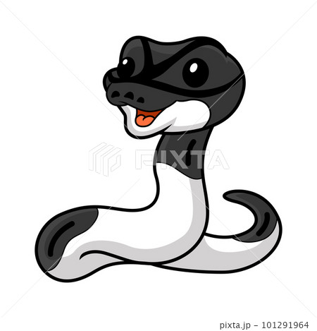 Cute panda pied ball python cartoon 101291964