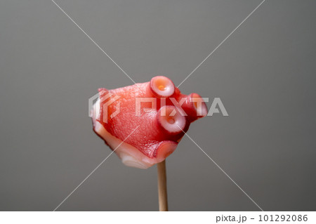 イメージフォト 101292086