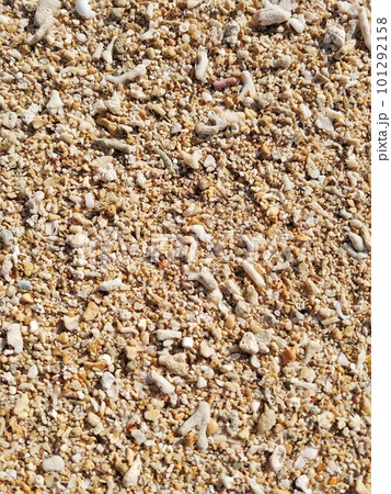 サンゴの砂浜7 沖縄 サンゴの砂浜7 沖縄 101292158