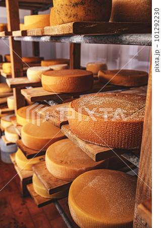 Wheels of cheese 101292230