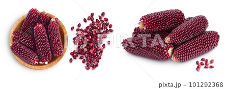 Purple corn or maize seeds in wooden bowl isolated on white background. Top view. Flat lay 101292368