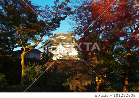 紅葉と夕陽に染まる岡崎城 紅葉と夕陽に染まる岡崎城 101292808