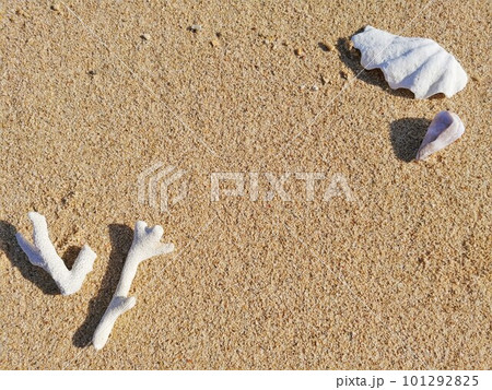 砂浜のサンゴと貝がら6　沖縄 101292825