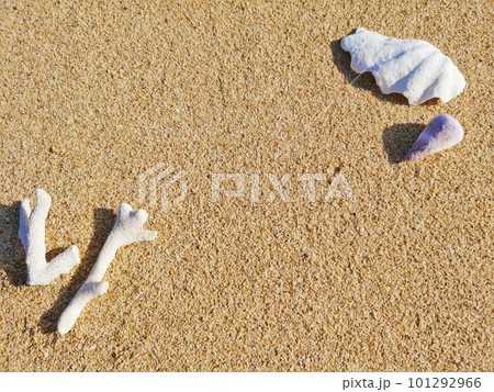 砂浜のサンゴと貝がら8　沖縄 101292966