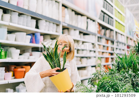 Gardening, planting and shopping concept. Beautiful mature adult woman choosing houseplants and pots in greenhouse or garden centre. Senior buying flowers plants at market store in mall 101293509
