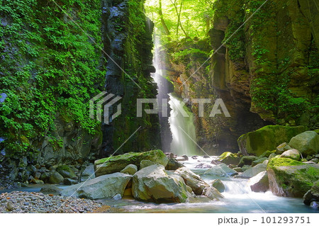 新緑輝くスッカン沢渓谷雄飛の滝の流れ　Ver1 101293751