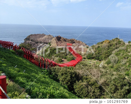 山口県の元乃隅神社の赤い鳥居(春) 山口県の元乃隅神社の赤い鳥居(春) 101293769