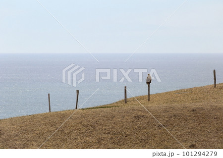 北海道 厚岸 海岸風景 北海道 厚岸 海岸風景 101294279