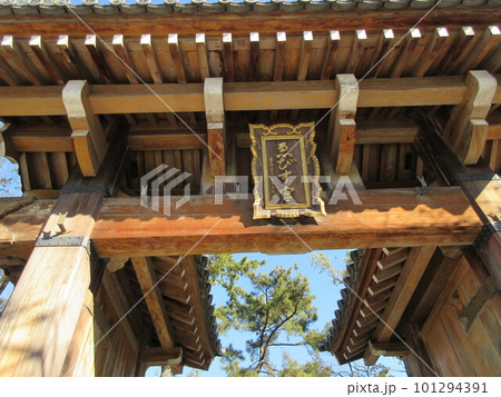 えびす宮総本社　西宮神社(西宮えびす神社)　開門神事福男で有名　南門見上げ　兵庫県西宮市 101294391
