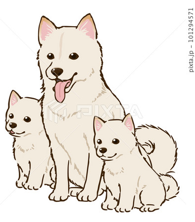 柴犬の親子(白柴) 柴犬の親子(白柴) 101294571