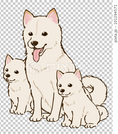 柴犬の親子(白柴) 柴犬の親子(白柴) 101294571