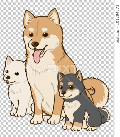 Parent and child of three-colored Shiba Inu Parent and child of three-colored Shiba Inu 101294573