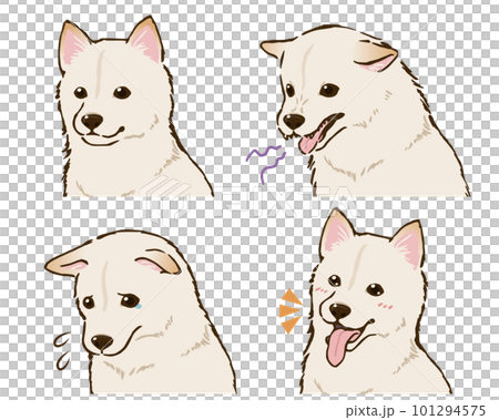 柴犬の喜怒哀楽セット(白柴) 柴犬の喜怒哀楽セット(白柴) 101294575