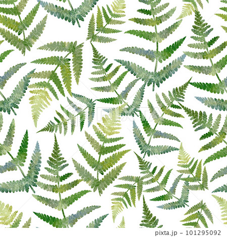 Watercolor seamless pattern with green fern. Hand drawn tropical illustration 101295092