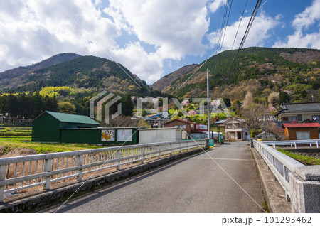 矢倉沢の春景色 春の里山 田舎 矢倉沢の春景色 春の里山 田舎 101295462