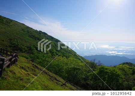 滋賀県米原市 伊吹山から湖北方面を望む 滋賀県米原市 伊吹山から湖北方面を望む 101295642