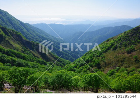 滋賀県米原市　伊吹山から湖北方面を望む 101295644
