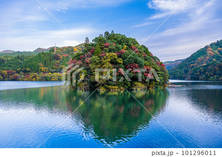 秋晴れを背景に松原ダム周辺紅葉風景(大分県中津江)(熊本県阿蘇郡小国町)県境 101296011