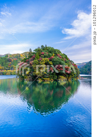 秋晴れを背景に松原ダム周辺紅葉風景(大分県中津江)(熊本県阿蘇郡小国町)県境 秋晴れを背景に松原ダム周辺紅葉風景(大分県中津江)(熊本県阿蘇郡小国町)県境 101296012