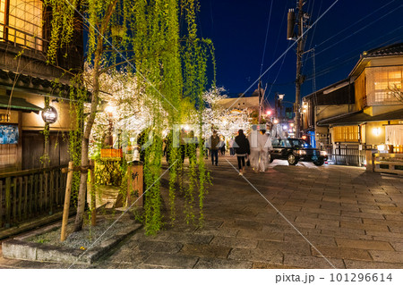 春の京都　祇園の夜桜 101296614