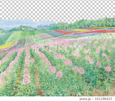 北海道花卉園素描 101296825