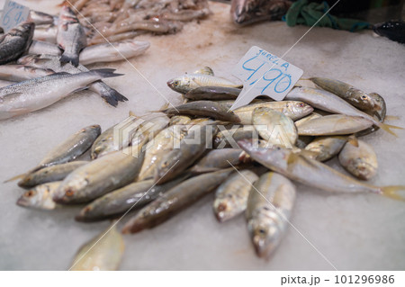 Variety of fresh seafood on market. high quality photo 101296986