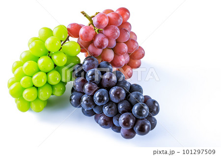 葡萄　ピオーネとシャインマスカットとクイーンニーナ 101297509