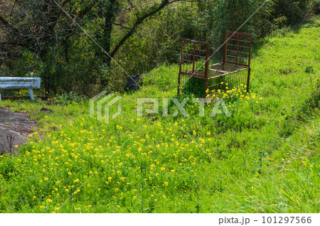 野原 春の雰囲気 野原 春の雰囲気 101297566